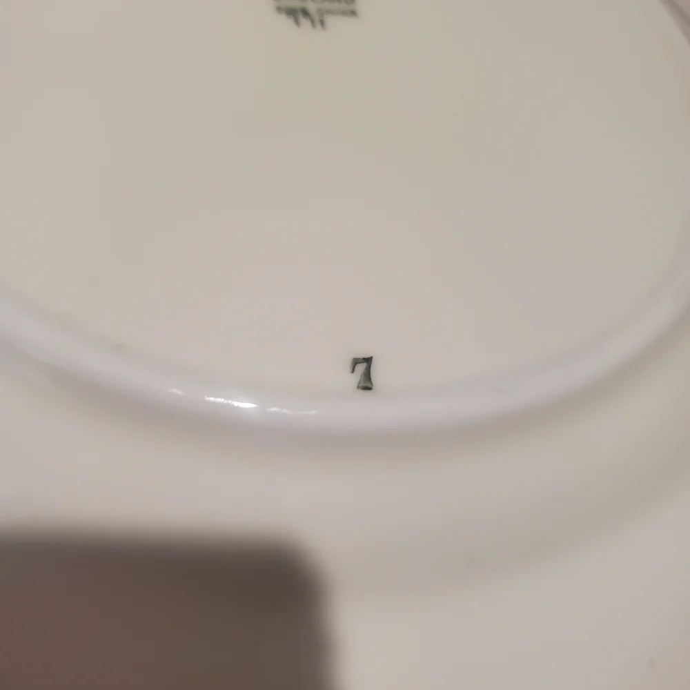 Vintage Aynsley Bone China Plate floral design replacement plate